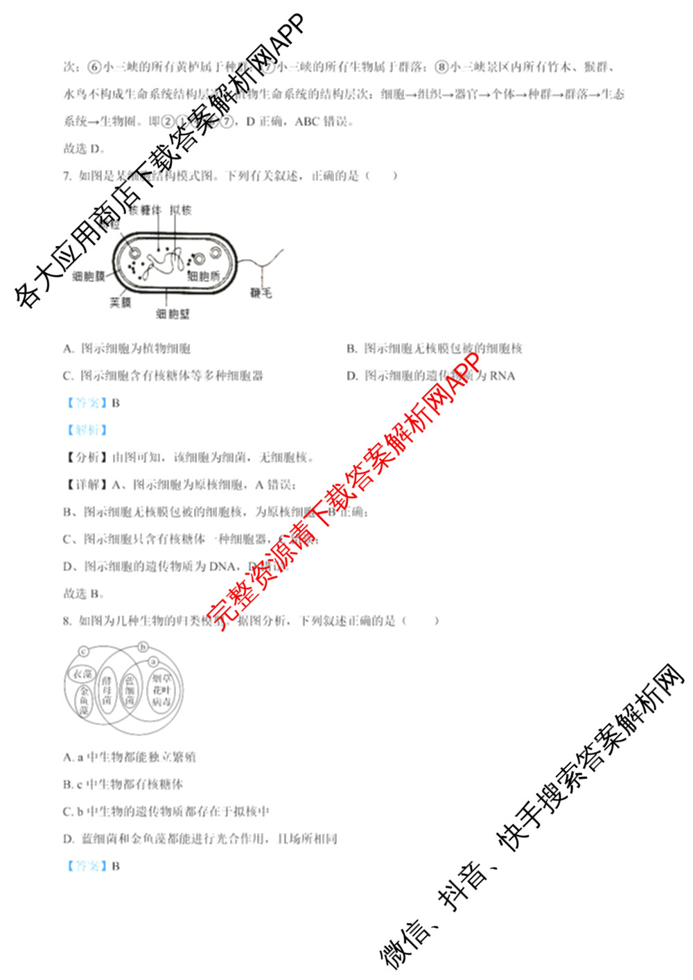 成都市列五中学2025-2026学年度(上)阶段性考试(一)高2025级（含政治、地理、化学等9份）生物答案