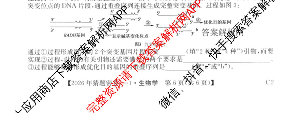 2026年普通高等学校招生全国统一考试猜题密卷(一)1(已更新物理(C1)、化学(C3)、政治(ZZ)等11份)生物试题