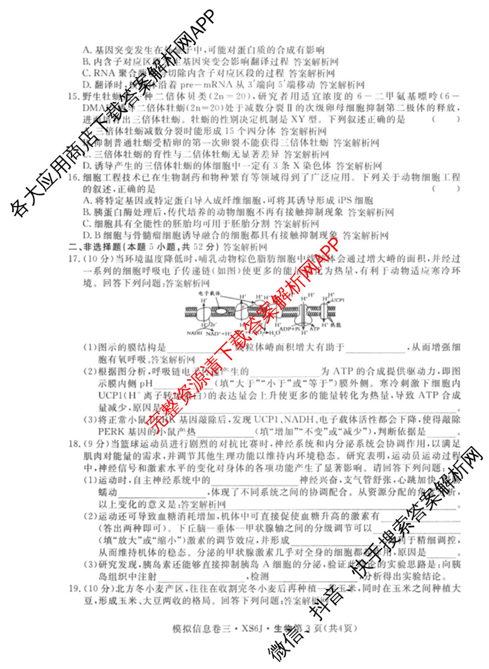 2026年普通高等学校招生统一考试模拟信息卷(三)3（10科全）生物试题