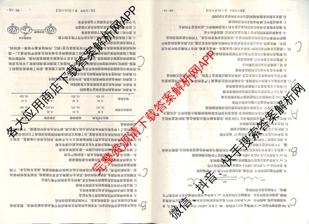 百万联考云南省2026届高三11月考试(11.27)[YN]各科答案及试卷（含地理(C1)、物理(C2)、生物(C1)等）生物试题