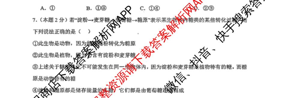 湖南省娄底四中2025年下期高一第一次月考各科答案及试卷(已更新物理、政治、语文等9份)生物试题