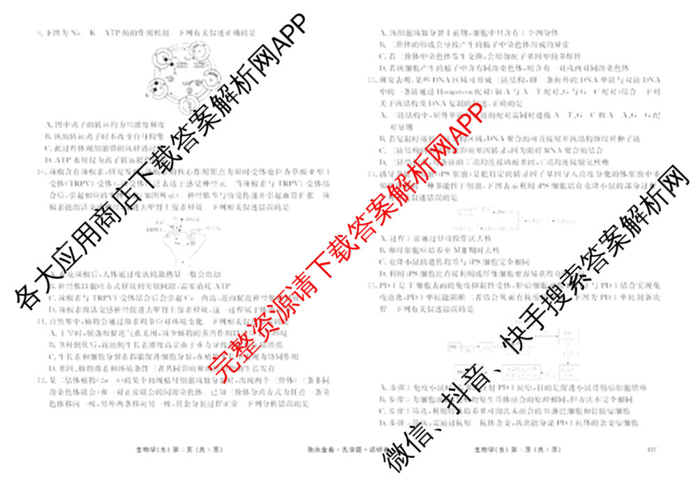 衡水金卷先享题调研卷2026年普通高等学校招生全国统一考试模拟试题(五)5各科答案及试卷（91科全）生物试题