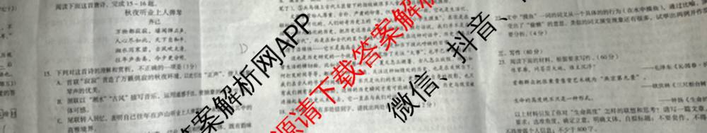 A10联盟&宿州十三校2025级高一上学期11月期中质量检测试卷及答案汇总（19科全）语文试题