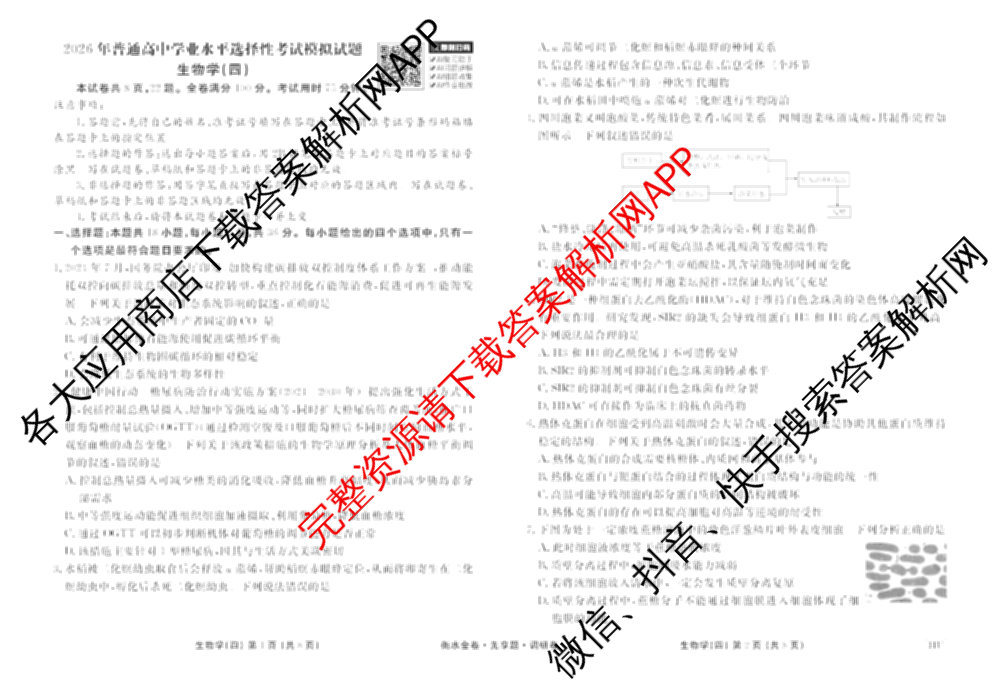 衡水金卷先享题调研卷2026年普通高等学校招生全国统一考试模拟试题(四)4(已更新生物(山东专版) 理综 历史(JS)等91份)生物试题