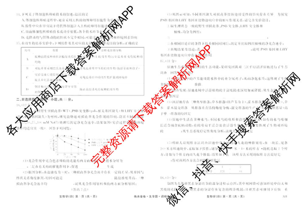 衡水金卷先享题调研卷2026年普通高等学校招生全国统一考试模拟试题(四)4(已更新生物(山东专版) 理综 历史(JS)等91份)生物试题
