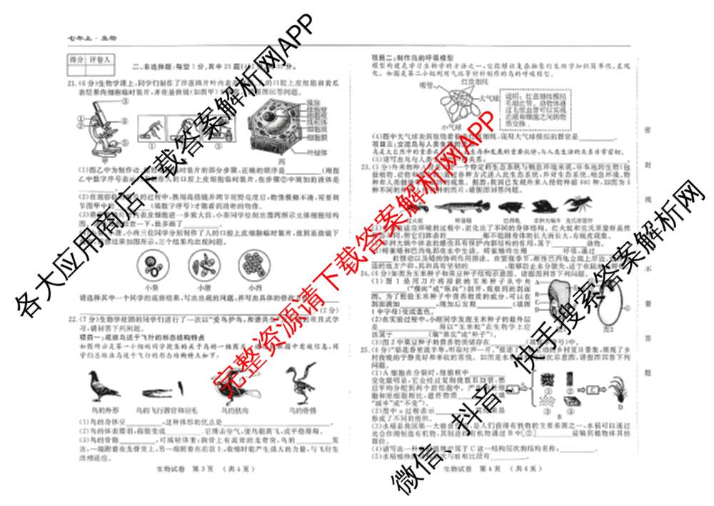 吉林省名校调研系列卷2025-2026学年七年上第三次检测(a)各科答案及试卷（7科全）生物试题