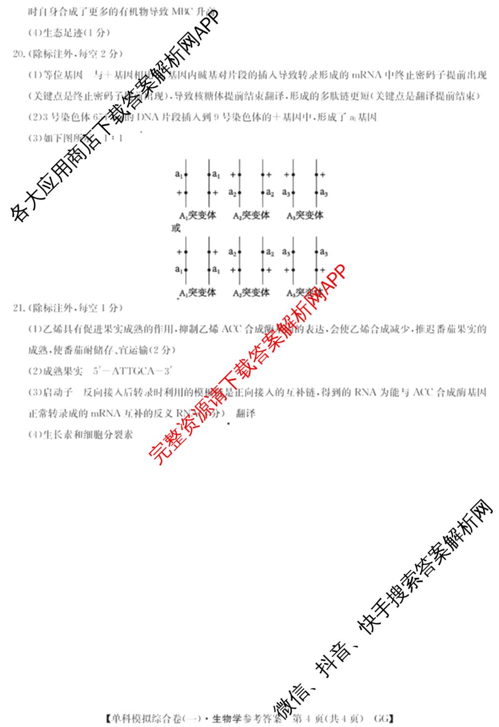 2025新高考单科模拟综合卷(三)3试卷及答案汇总（含历史(湖南) 物理(河北) 生物(河北)等36份）生物答案