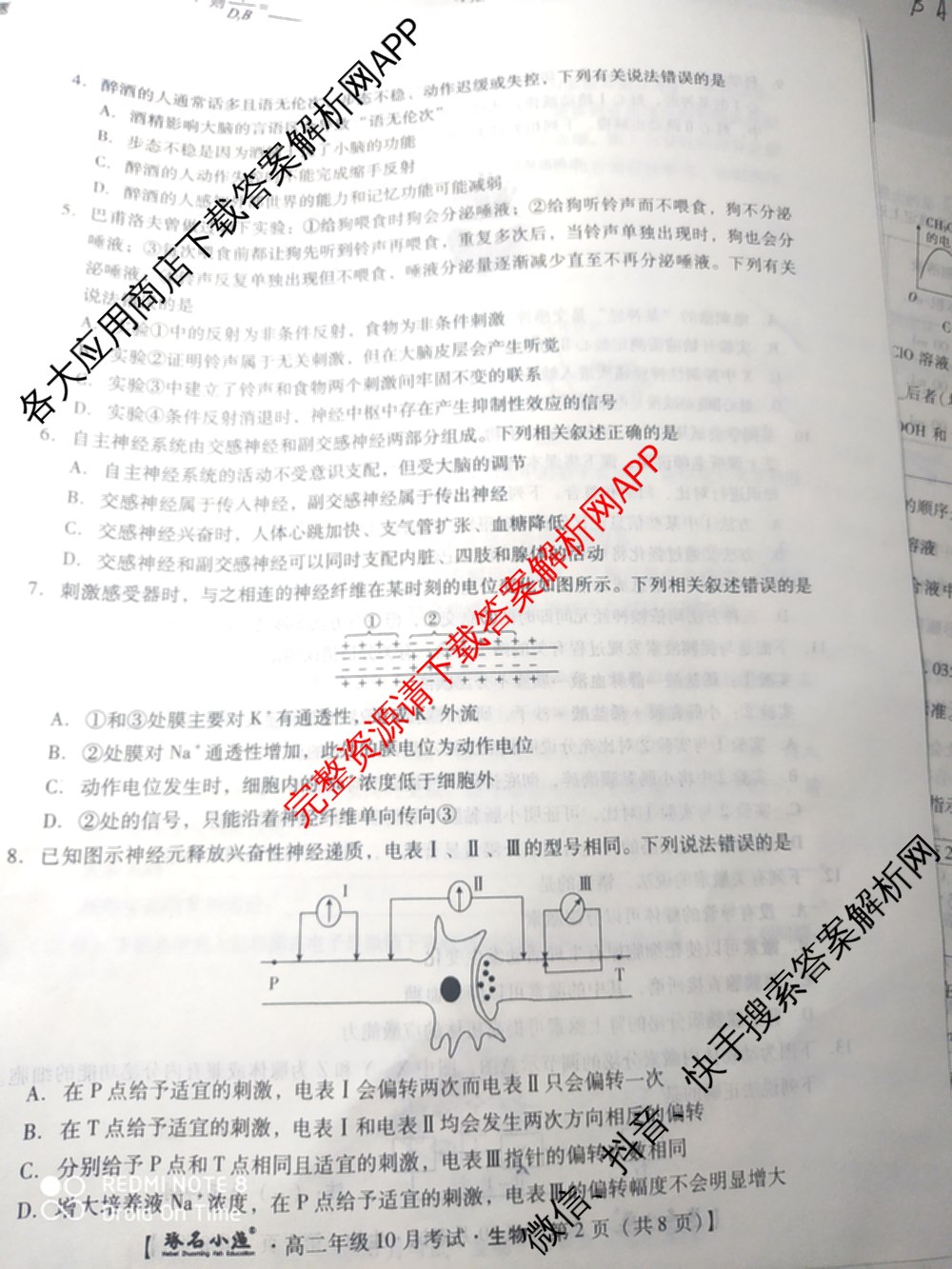 琢名小渔2025-2026学年高二年级10月考试各科答案及试卷（含语文 地理(A) 政治等15份）生物试题