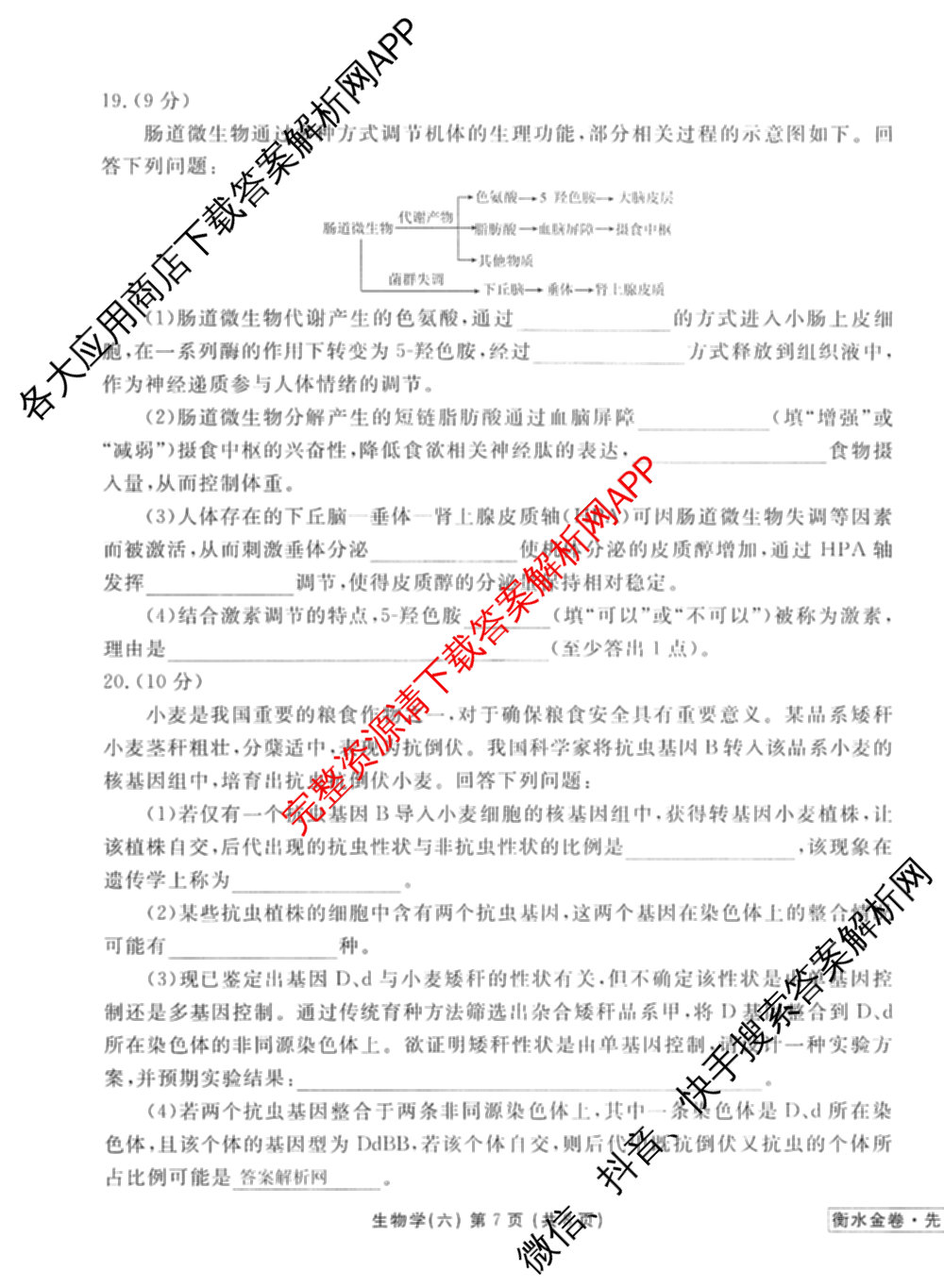 衡水金卷先享题调研卷2026年普通高等学校招生全国统一考试模拟试题(六)6（含地理(HN) 物理(HU) 物理(JS)等）生物试题