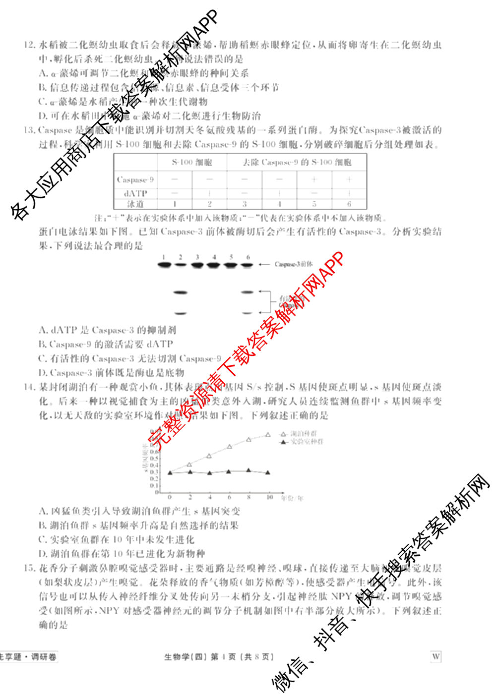 衡水金卷先享题调研卷2026年普通高等学校招生全国统一考试模拟试题(四)4(已更新生物(山东专版) 理综 历史(JS)等91份)生物试题