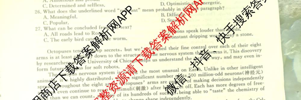 2026届高三总复习名师原创模拟(二)2各科答案及试卷(已更新历史(XS6J)、化学(XS6JG)、物理(XS6J)等39份)英语试题