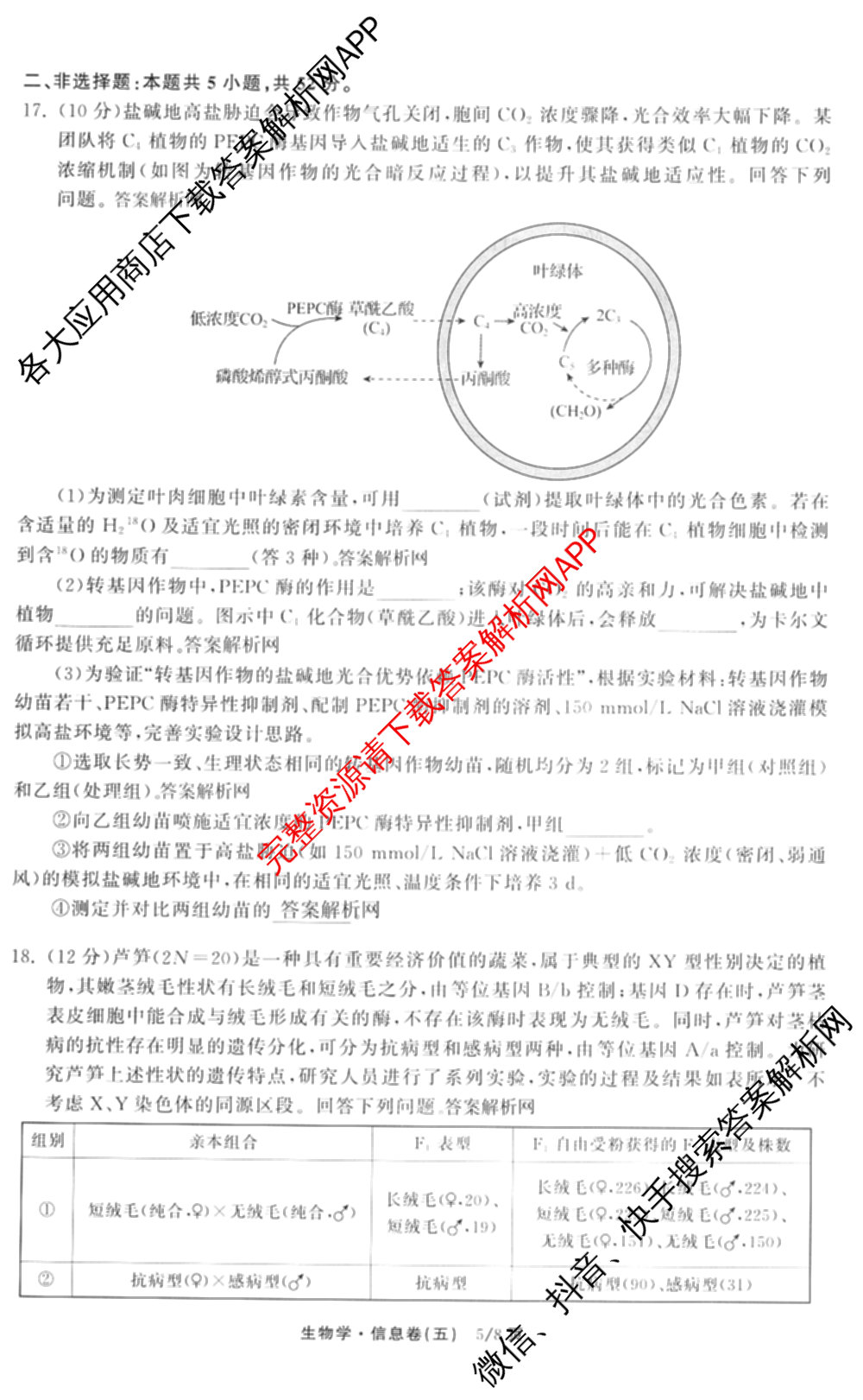 天舟高考衡中同卷2026年普通高等学校招生全国统一考试模拟信息卷(五)5（含化学(JY) 历史(GY) 物理(山东版)等35份）生物试题