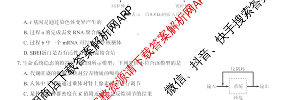 名校教研联盟2026届高考仿真模拟卷(样卷)试卷及答案汇总(11科全)生物试题 名校教研联盟2026届高考仿真模拟卷(样卷)试卷及答案汇总(11科全)生物试题