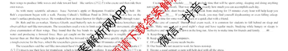 哈师大附中2025级2025-2026学年度第一学期期中考试（9科全）英语试题