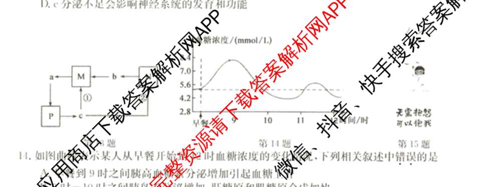 2024~2025全国名校高二上学期第一次月考试卷(含英语(选择性必修第三册-RJ-G-唐) 化学(选择性必修1-RJ-G-宋) 地理(选择性必修1-RJ-G-唐)等)生物试题 2024~2025全国名校高二上学期第一次月考试卷(含英语(选择性必修第三册-RJ-G-唐) 化学(选择性必修1-RJ-G-宋) 地理(选择性必修1-RJ-G-唐)等)生物试题
