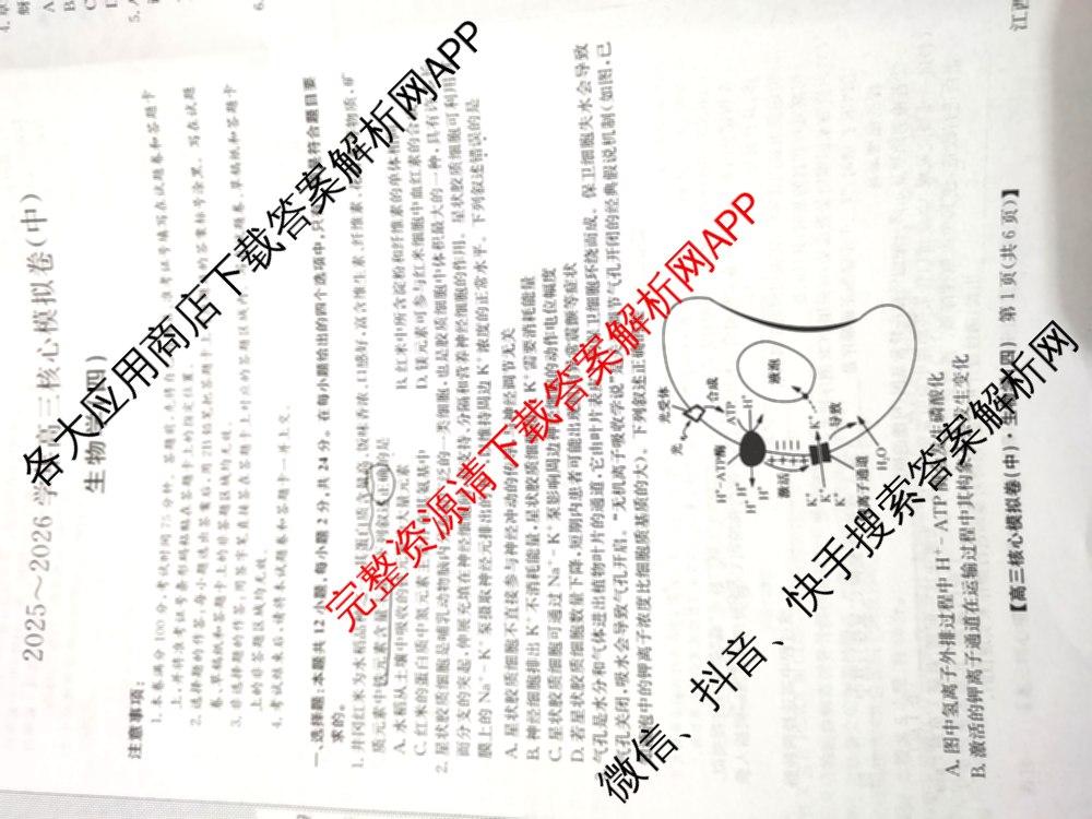 九师联盟2025~2026学年高三核心模拟卷(中)(四)（含政治(D4) 物理(HF) 语文等）生物试题