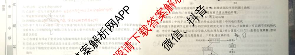 衡水名师卷高考模拟调研卷 2026年普通高等学校招生全国统一考试模拟试题(一)1（含数学(空心菱形) 物理(空心菱形) 英语(YH)等21份）生物试题