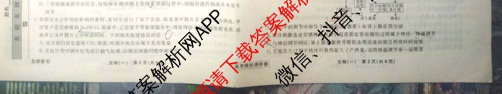 衡水名师卷高考模拟调研卷 2026年普通高等学校招生全国统一考试模拟试题(一)1（含数学(空心菱形) 物理(空心菱形) 英语(YH)等21份）生物试题