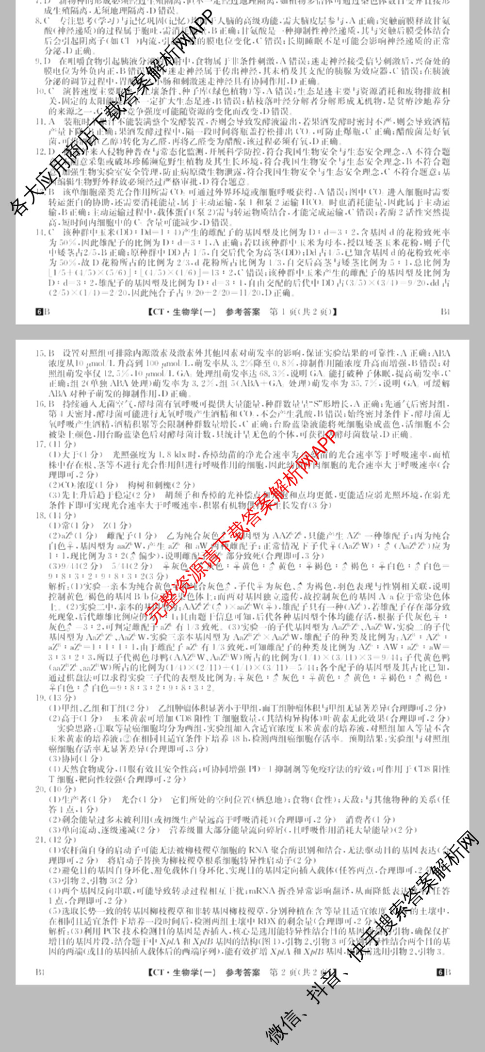 2026年普通高等学校招生全国统一考试猜题信息卷(一)1试卷及答案汇总(已更新物理(AH)、地理(B3)、化学(B3)等19份)生物答案