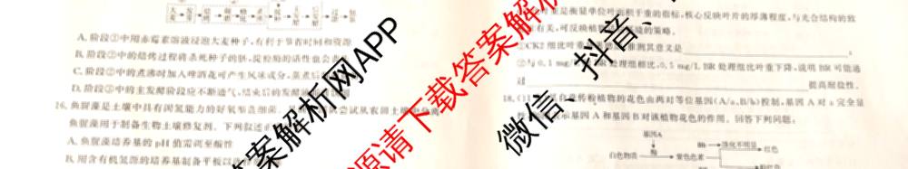 衡水真题密卷2025-2026学年度综合能力调研检测(三)3各科答案及试卷（11科全）生物试题