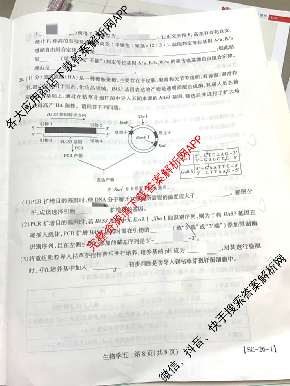 2026届智慧上进名校学术联盟高考模拟信息卷&冲刺卷&预测卷(五)5各科答案及试卷: 含历史(SC-26-1) 物理(II-26-1) 生物(HB-26-1)试卷解析生物试题