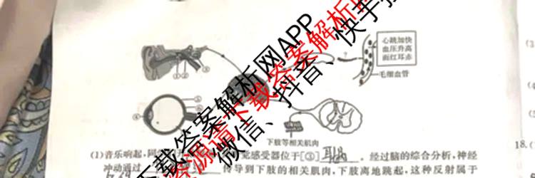 山西省2025-2026学年度八年级阶段评估(A)[PGZX D SHX(一)]（14科全）生物试题