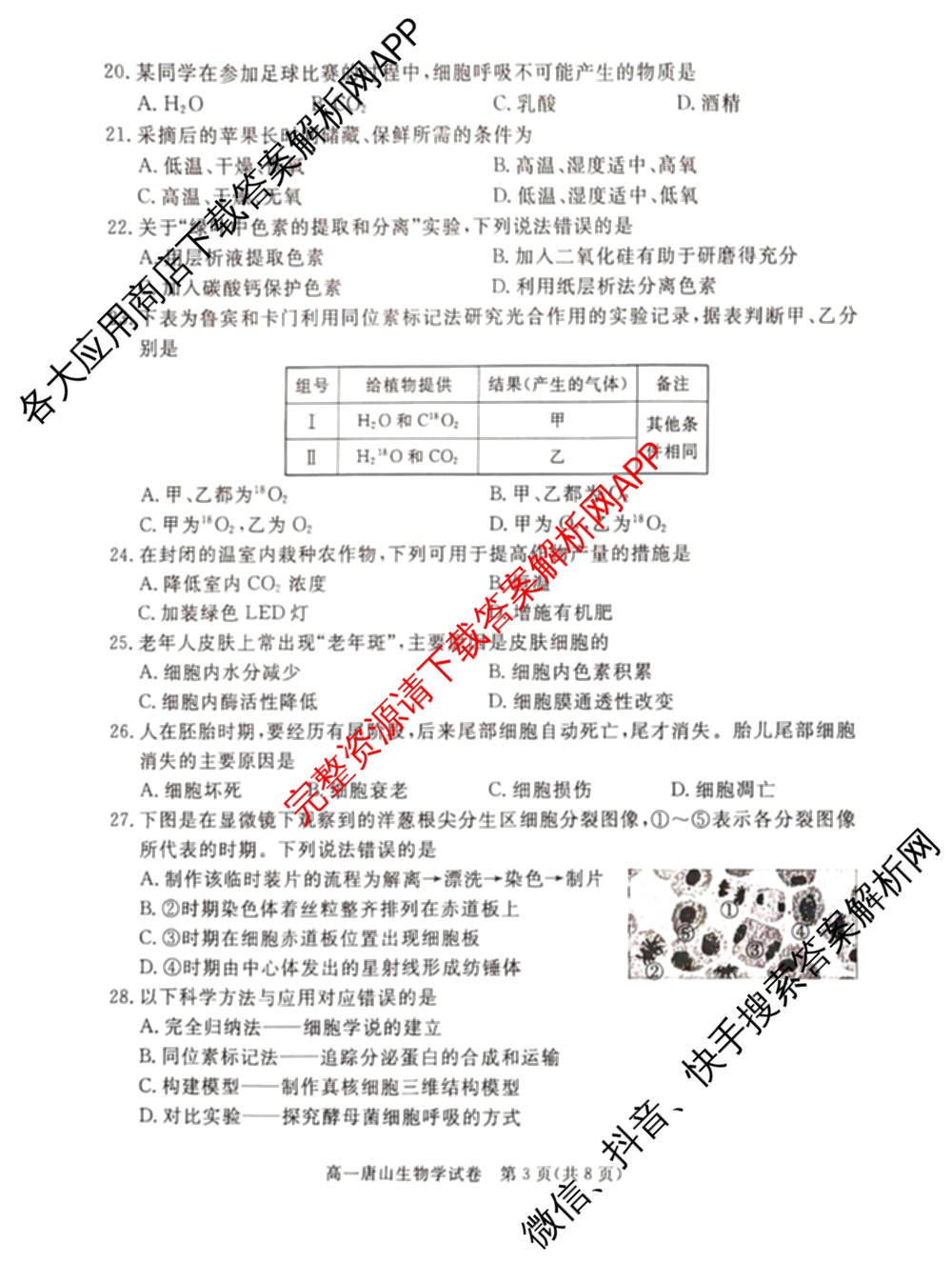 唐山市2024-2025学年度高一年级第一学期期末考试(已更新地理、政治、生物等9份)生物试题