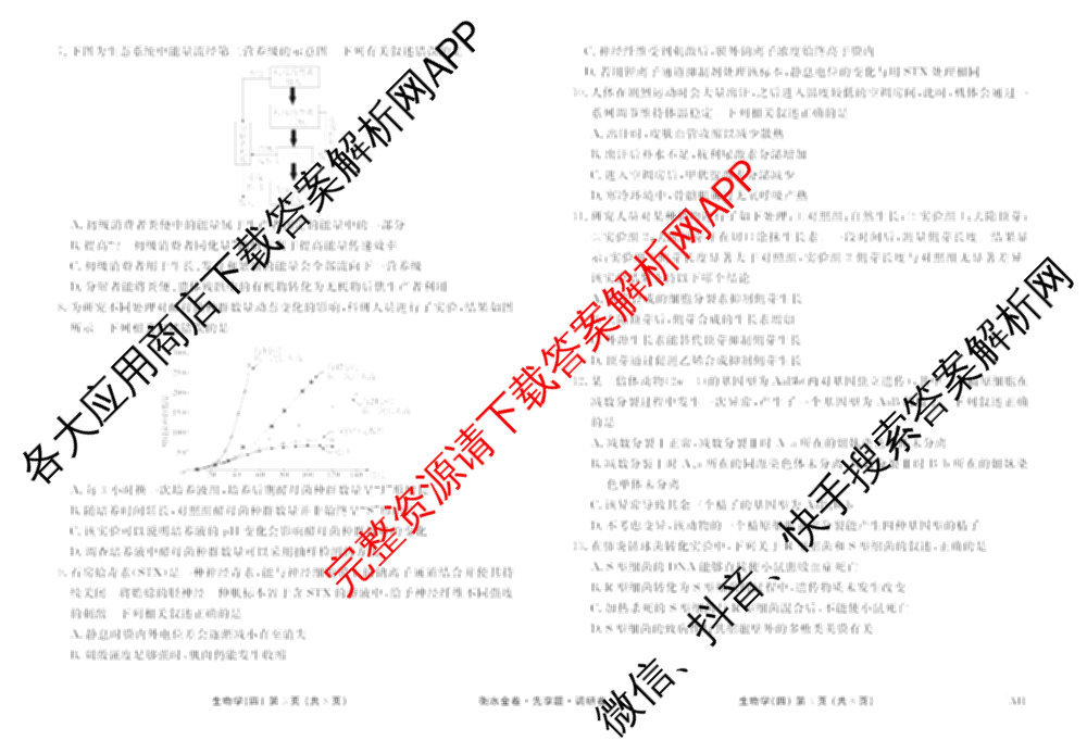 衡水金卷先享题调研卷2026年普通高等学校招生全国统一考试模拟试题(四)4(已更新生物(山东专版) 理综 历史(JS)等91份)生物试题