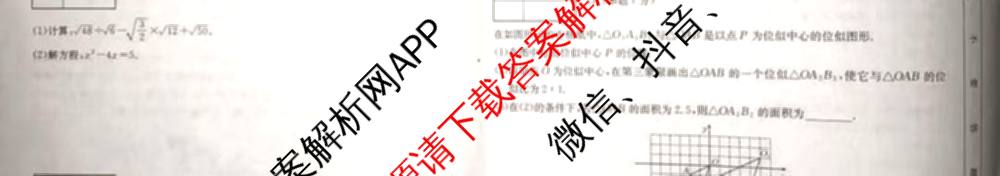 山西省2025-2026学年度九年级上学期期中阶段评估[PGZXDSHX(二)]试卷及答案汇总(已更新数学(HSD) 数学(BSD) 物理(R)等13份)数学试题