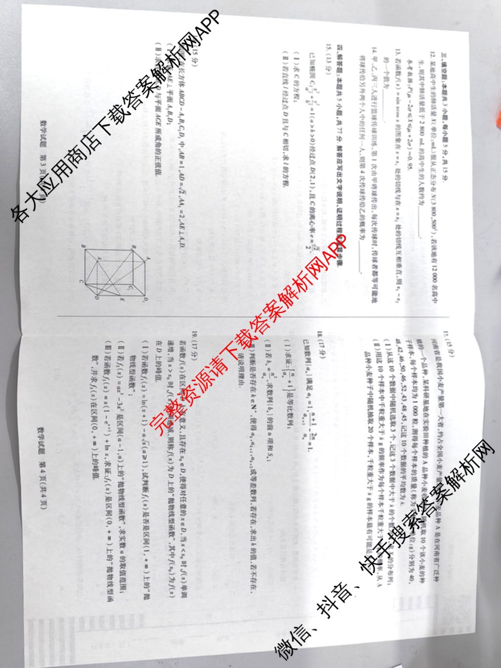 天一大联考2024-2025学年(下)高二年级期中考试各科答案及试卷(已更新数学(北师大版)、政治(B卷)、数学等13份)数学试题