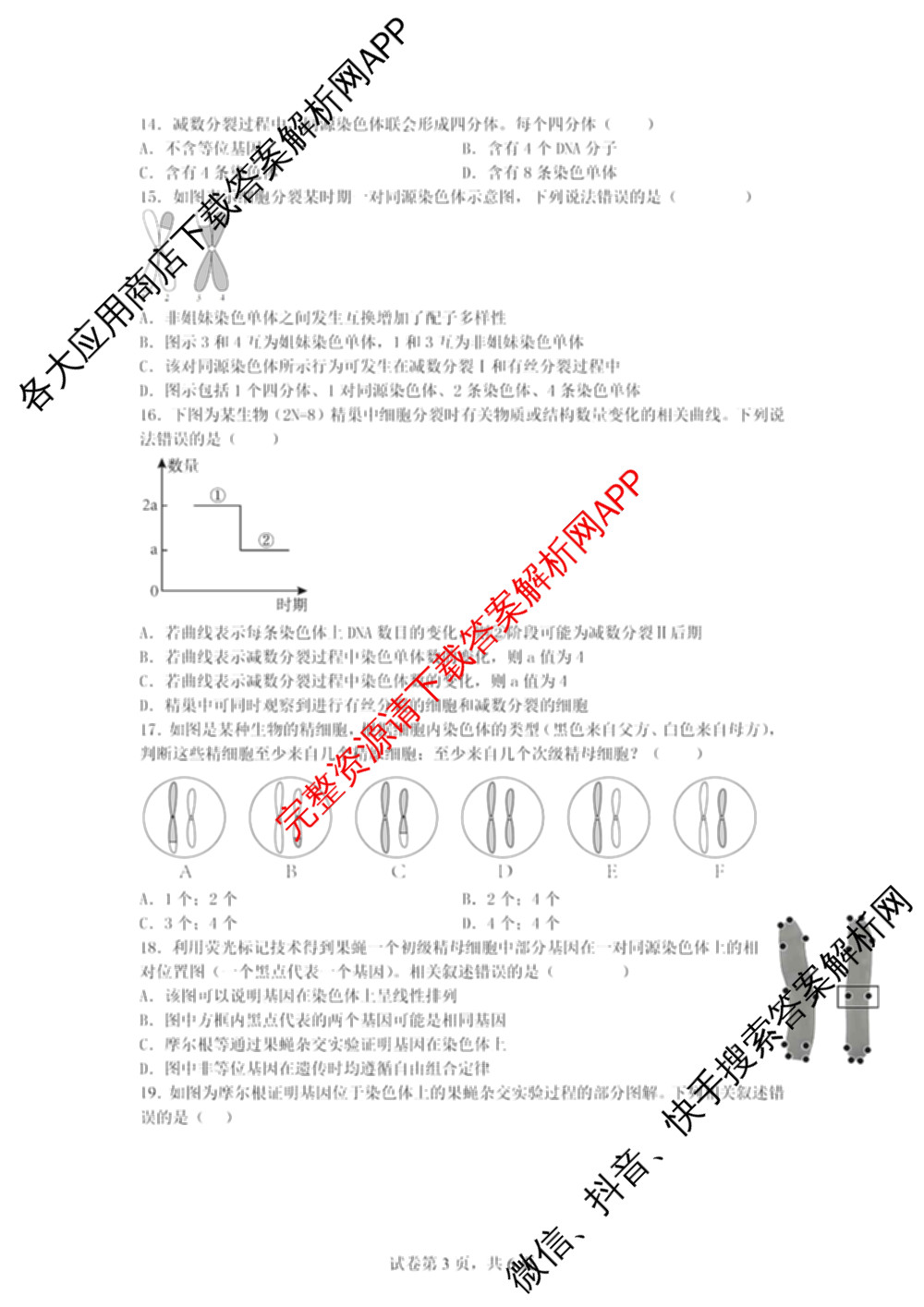 成都七中2024-2025学年度下期高2027届3月考试试卷及答案汇总（含化学 数学 语文等9份）生物试题