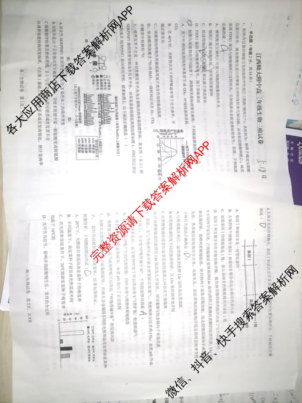 2025年江西师大附中高三三模(5.16)（含政治 英语 生物等9份）生物试题