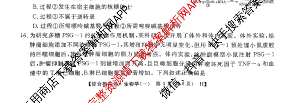 2026普通高等学校招生全国统一考试综合模拟卷(一): 含地理、政治(C)、语文(X)试卷解析生物试题