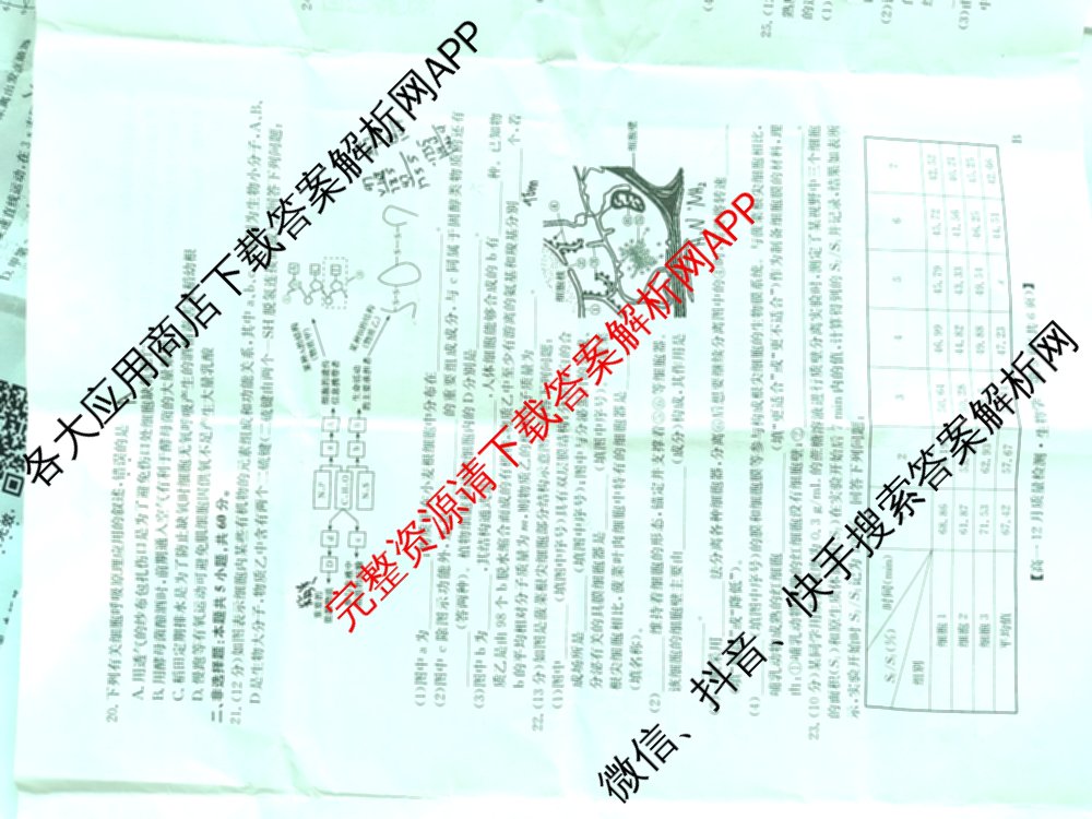 九师联盟2024年高一12月质量检测试卷及答案汇总(已更新地理(人教) 政治(A) 物理等9份)生物试题