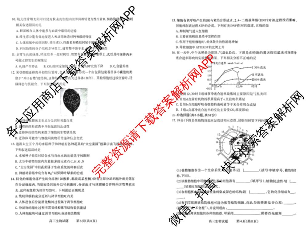 三重教育山西省2025-2026学年第一学期高三年级10月学情检测试卷及答案汇总（含数学、政治、地理等9份）生物试题