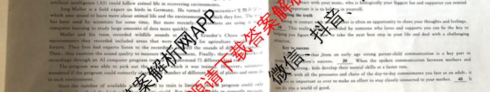 桂柳文化2025届高考桂柳鸿图模拟金卷(一)1试卷及答案汇总（含物理 语文 政治等）英语试题