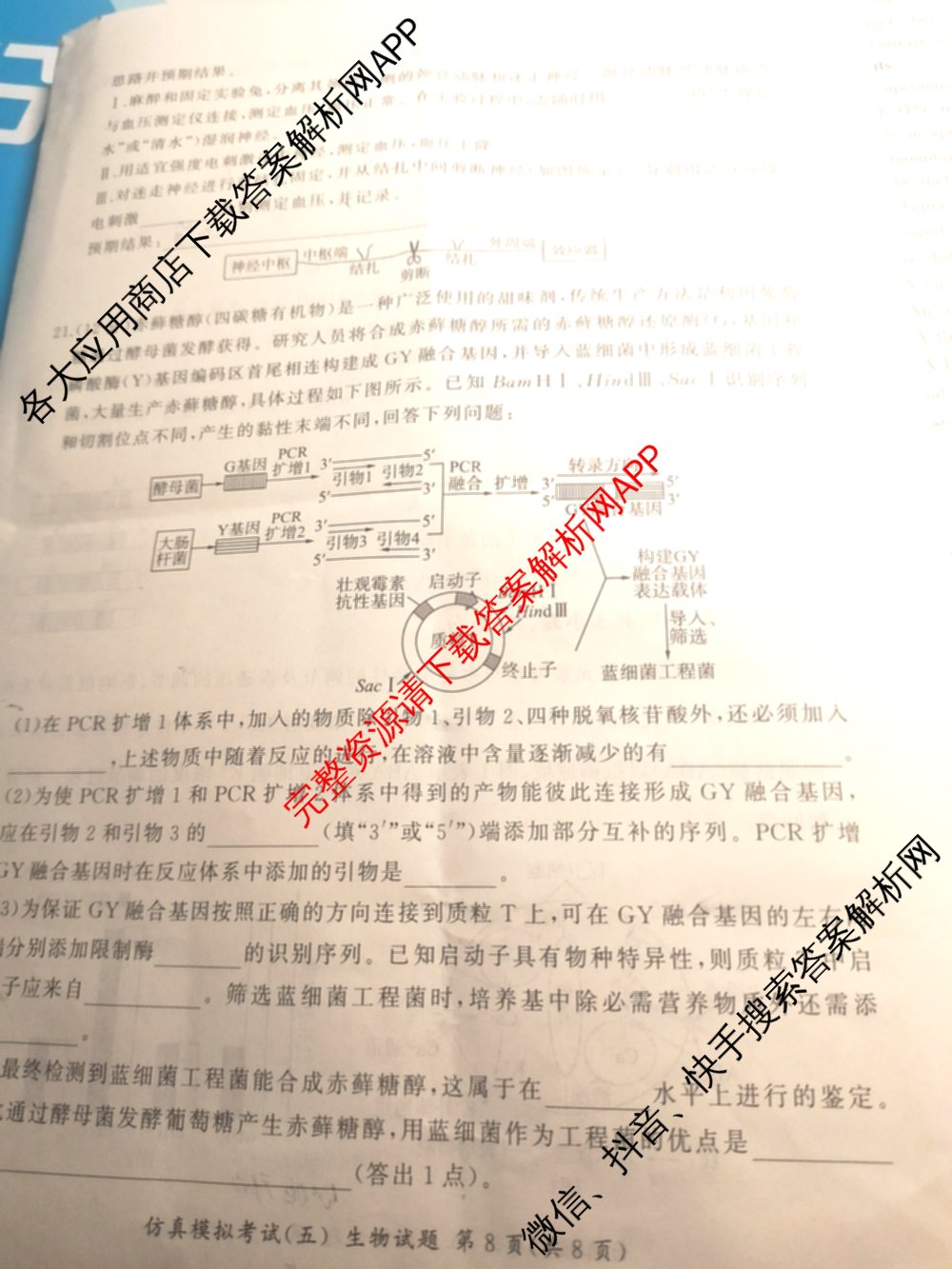 百师联盟2026届高三仿真模拟考试(五)各科答案及试卷（含物理(百E)、数学(百B)、地理(百N)等）生物试题