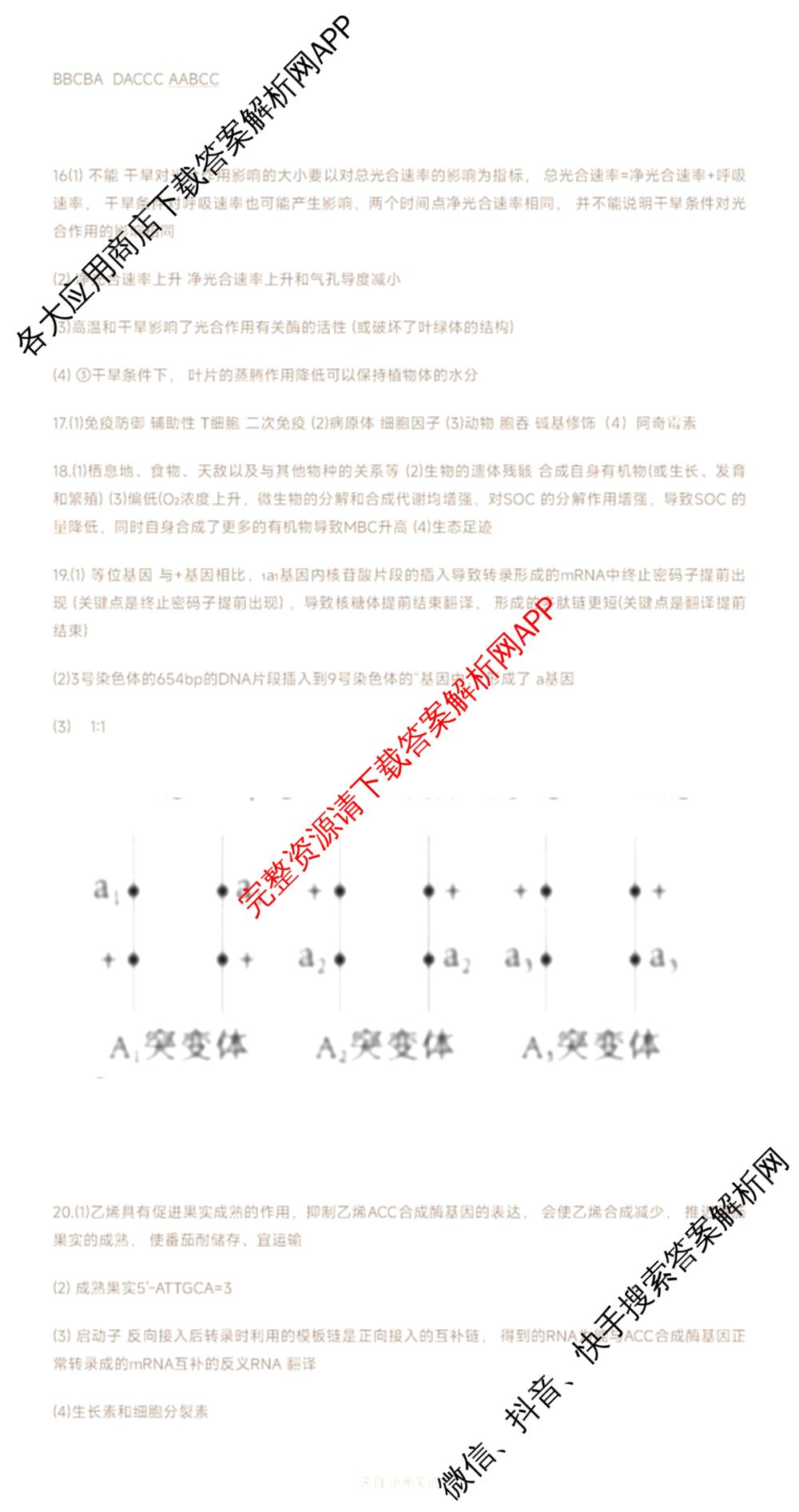2025新高考单科模拟综合卷(三)3试卷及答案汇总（含历史(湖南) 物理(河北) 生物(河北)等36份）生物答案