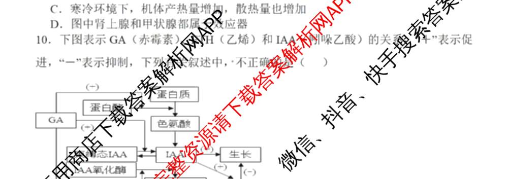 福州四校联盟2025-2026学年第一学期期中联考高三（含化学、政治、物理等）生物试题