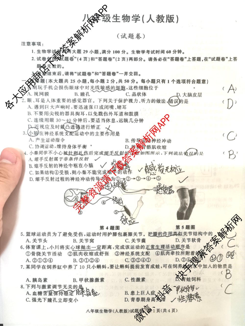 安徽省2025-2026学年八年级上学期期中教学质量调研A卷(11.13-14)试卷及答案汇总（含生物(人教版) 数学(北师大版) 物理(沪粤 版)等20份）生物试题