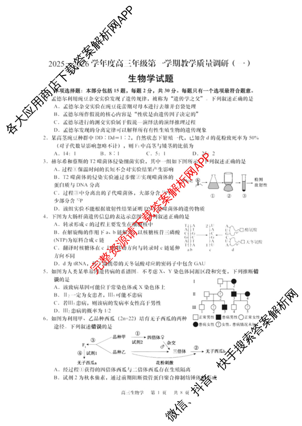 江苏省如皋市2025-2026学年度高三年级第一学期教学质量调研(一)(含语文 物理 英语等)生物试题 江苏省如皋市2025-2026学年度高三年级第一学期教学质量调研(一)(含语文 物理 英语等)生物试题